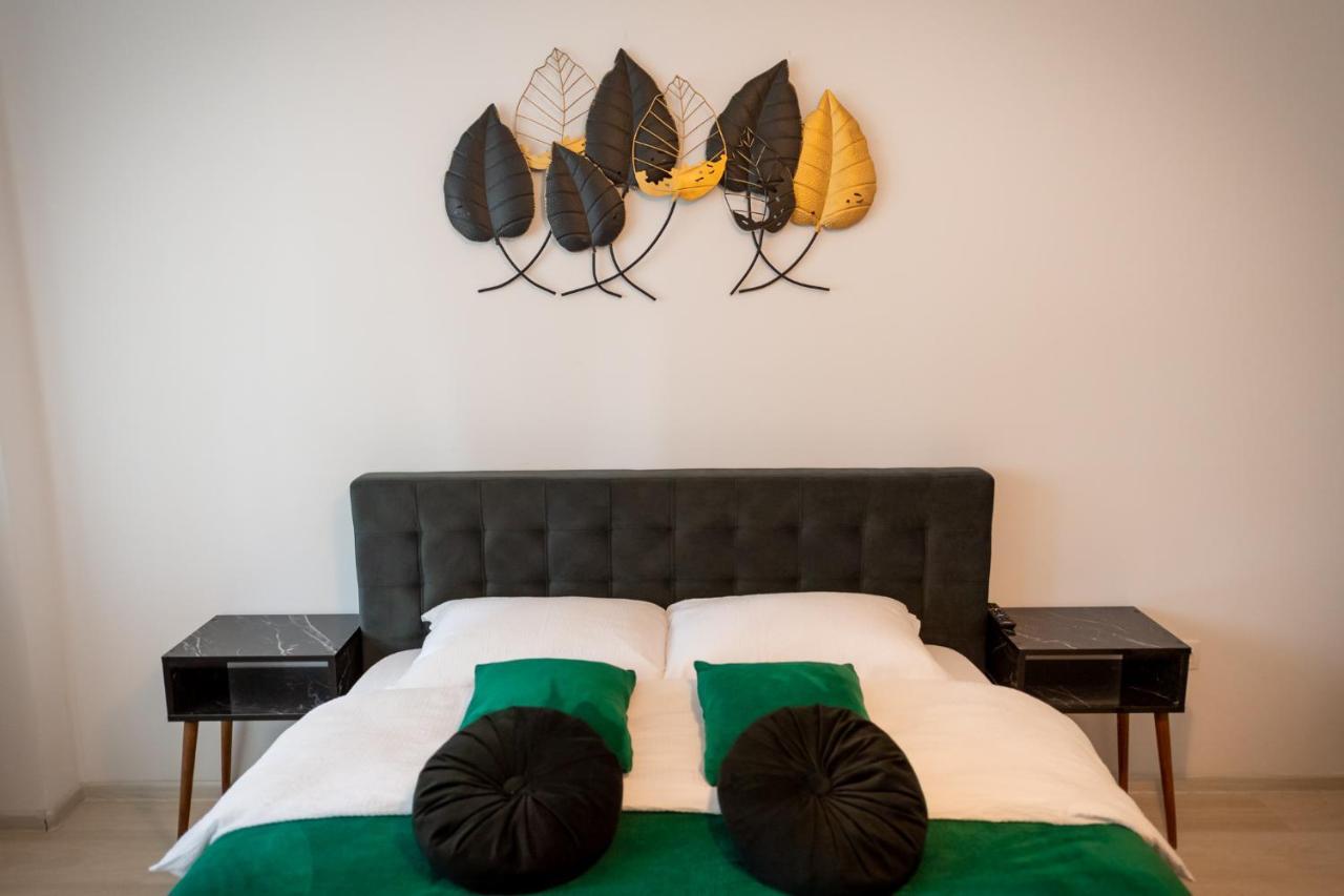 Coresi Vibe Studio Brašov Exteriér fotografie