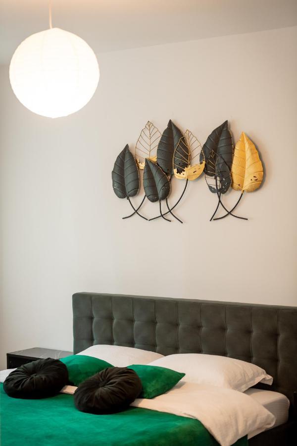 Coresi Vibe Studio Brašov Exteriér fotografie
