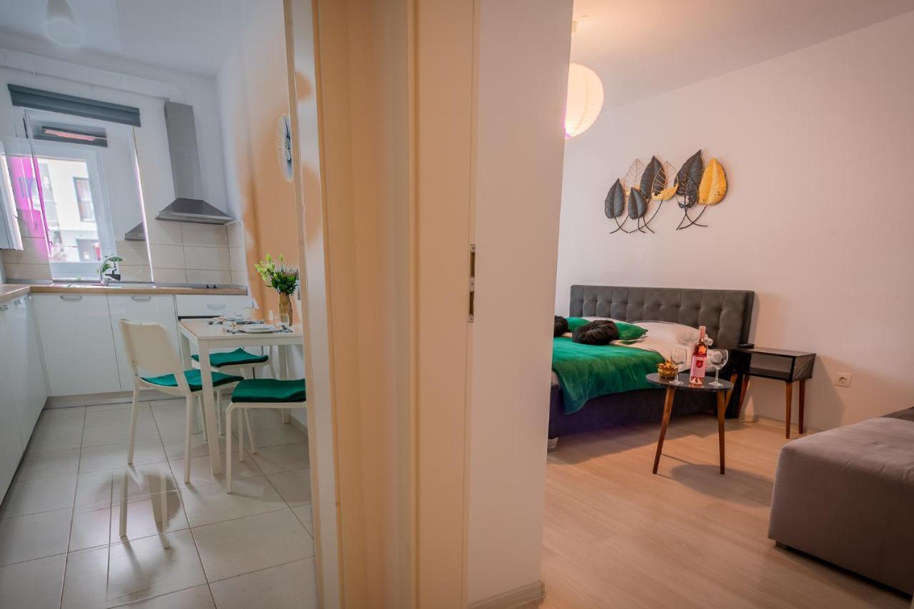Coresi Vibe Studio Brašov Exteriér fotografie
